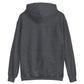 Aish Unisex Hoodie